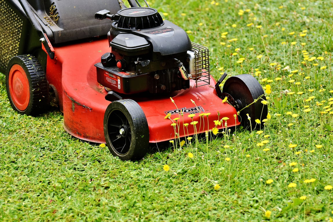 lawn mowing service