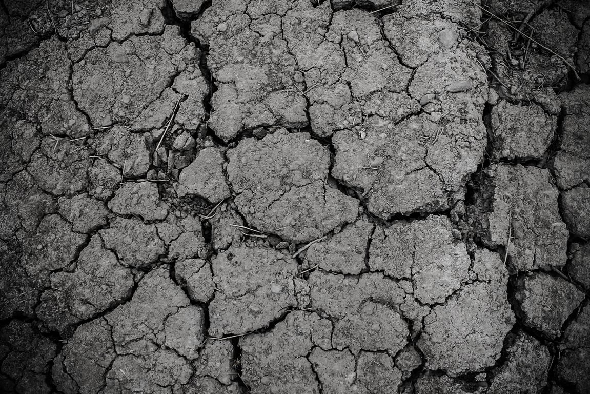 house foundation cracks