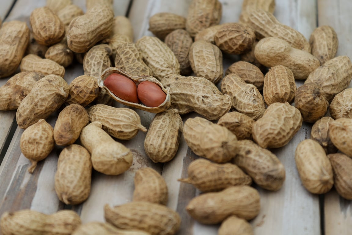 Hill’s Prescription Diet dog food