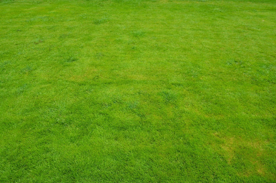 residential lawn care