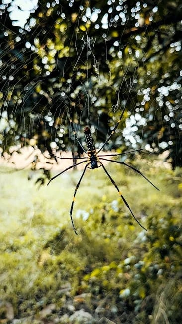 Image describing Top 5 Ways to Download Spider Solitaire in 2025 Now!