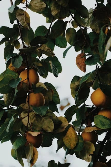 Image describing Unlock 2025s Best RTS Games on Android Now!