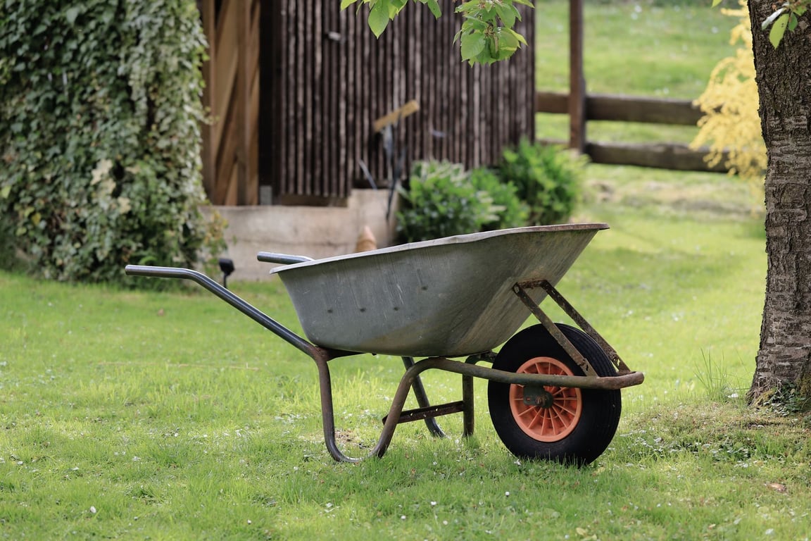 Yard Maintenance Near Me: How to Choose a Reliable Local Service