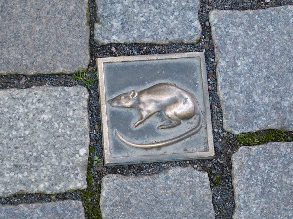 mouse trap