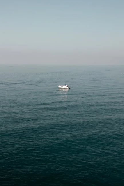 Image describing Discover the Best of Mar Vista Grande in 2025!