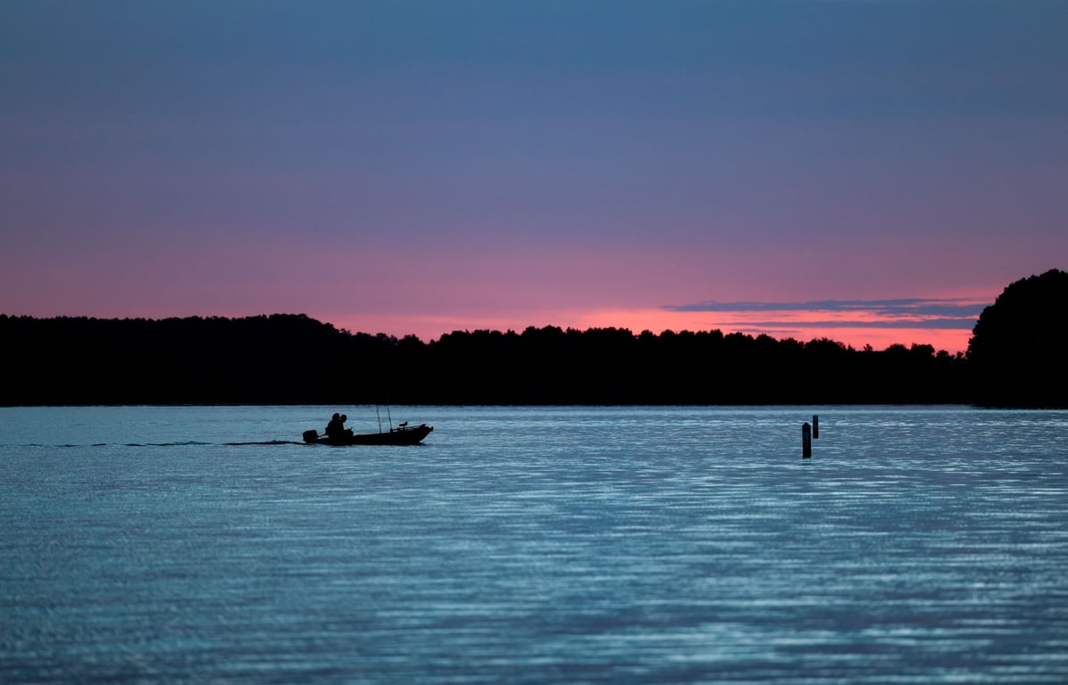 Garmin LiveScope Plus: A Practical Guide to Real-Time Fish Finding