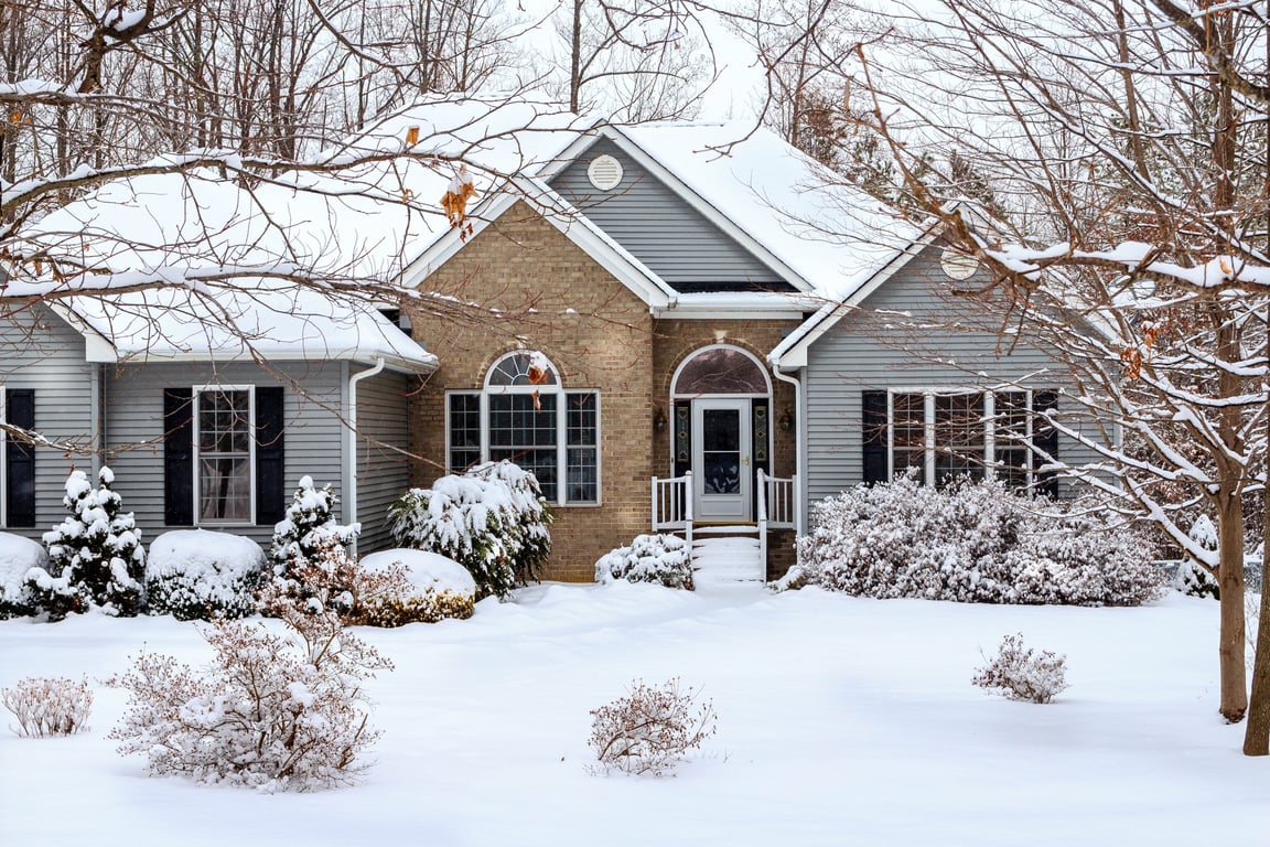 residential yard landscaping
