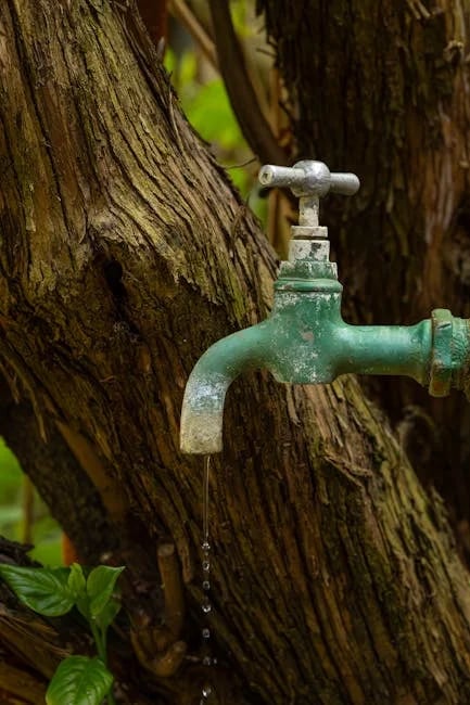 Image describing How to Book TAP Portugal Fast Now 7 Proven Tips 2026