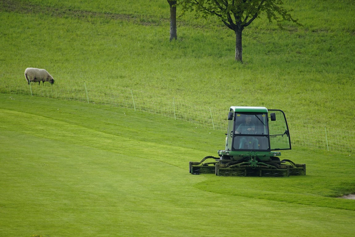 lawn mowing service