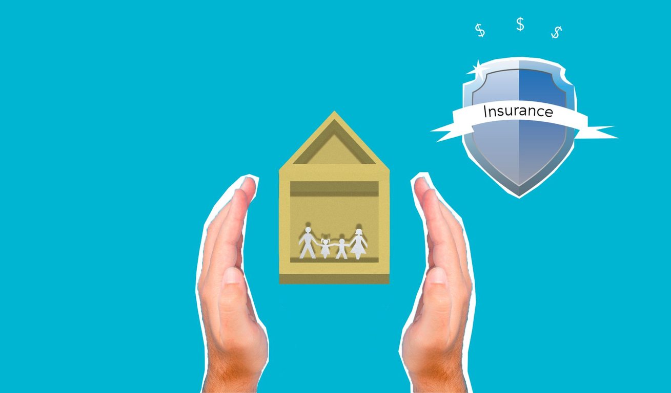 Termite Inspection Cost: What Homeowners Should Expect to Pay