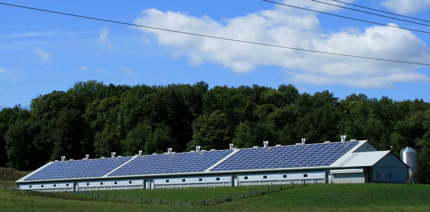 solar panels roof repair