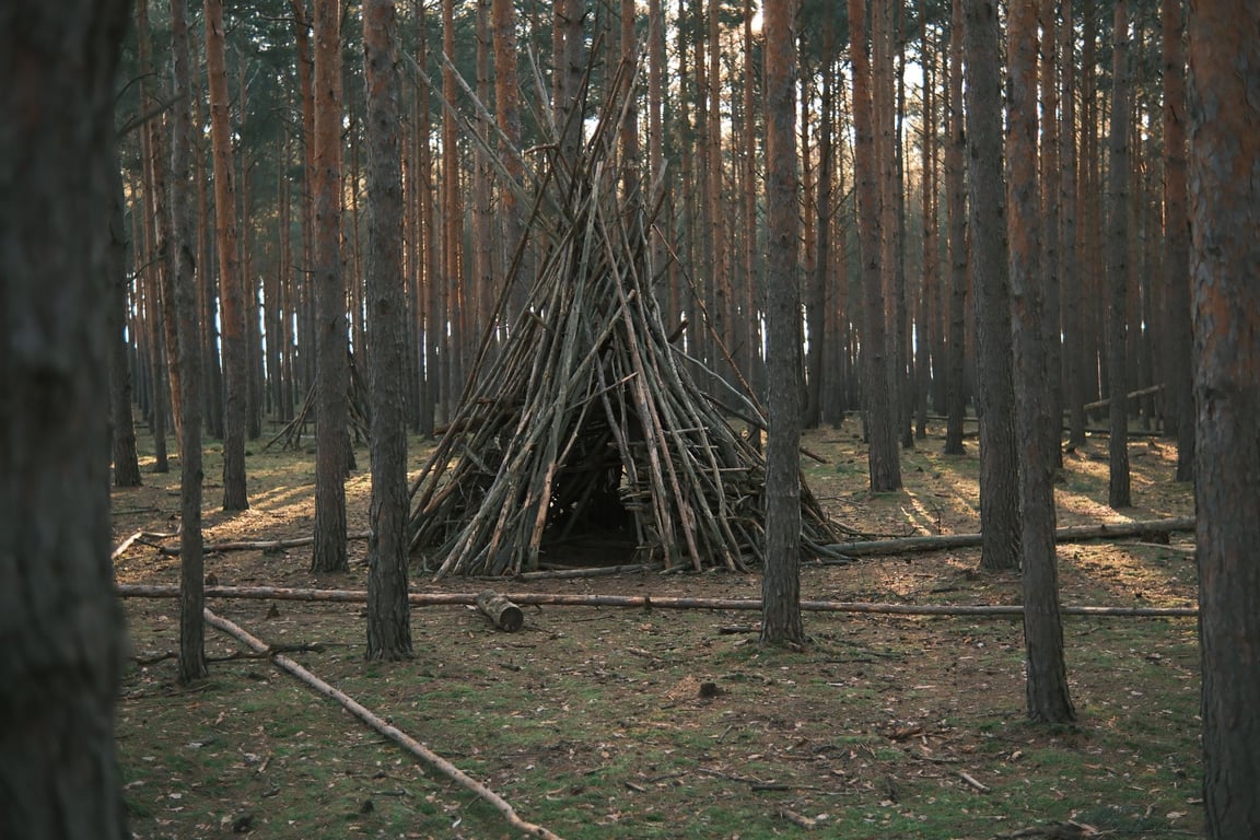 Survival Camp Essentials: Build Skills, Gear, and a Safer Outdoor Plan