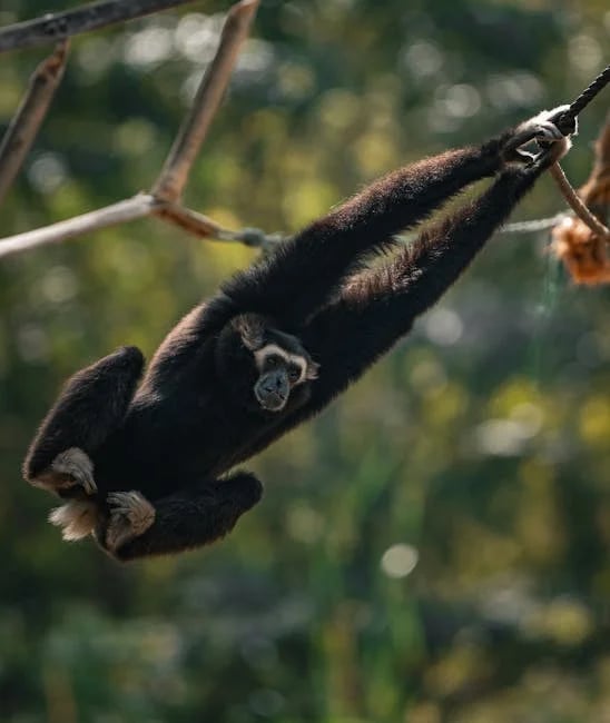 Image describing How to Use SurveyMonkey Free in 2026 7 Proven Hacks?