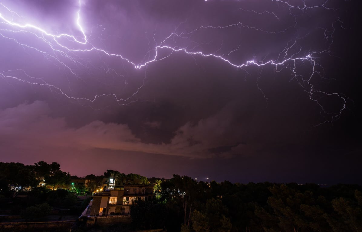 Predator 9500 Watt Inverter Generator: Is It the Right Backup Power Size for Your Home?