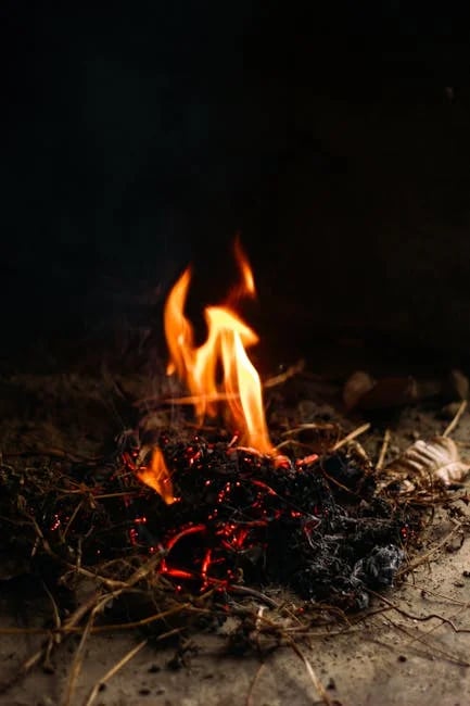 Image describing Unlock the Best Fuel Rewards of 2025 Now!