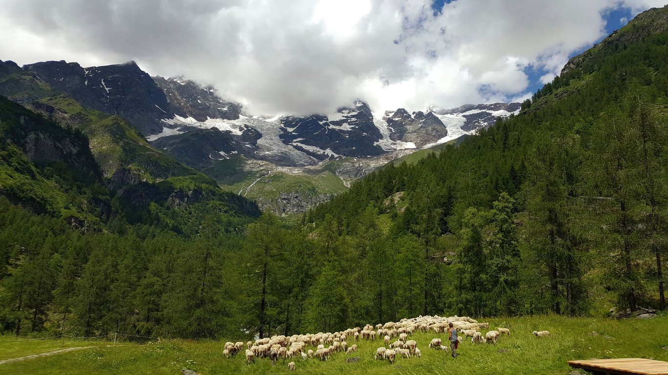 Tour du Mont Blanc Hike: A Practical Guide to Planning the Classic Alpine Circuit