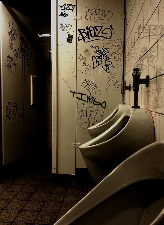 toilet tank flapper
