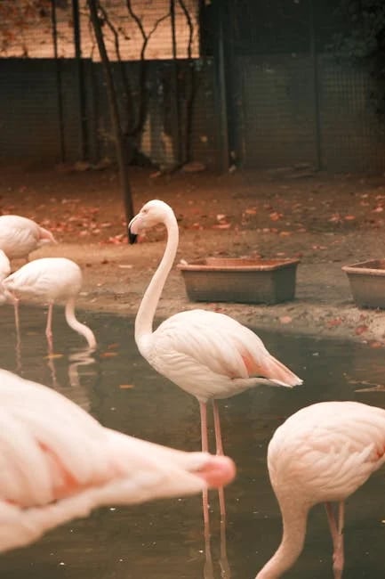 Image describing Sapphire Showdown Discover the Best Card for 2025 Now!