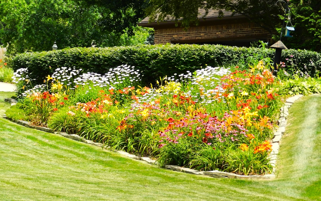 Landscaping and Irrigation: Design Smarter Yards for Lasting Results