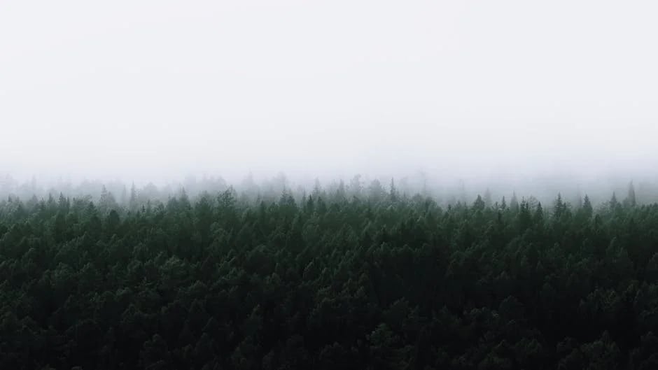 Image describing Unlock Top Underline Secrets Transform Text by 2025!