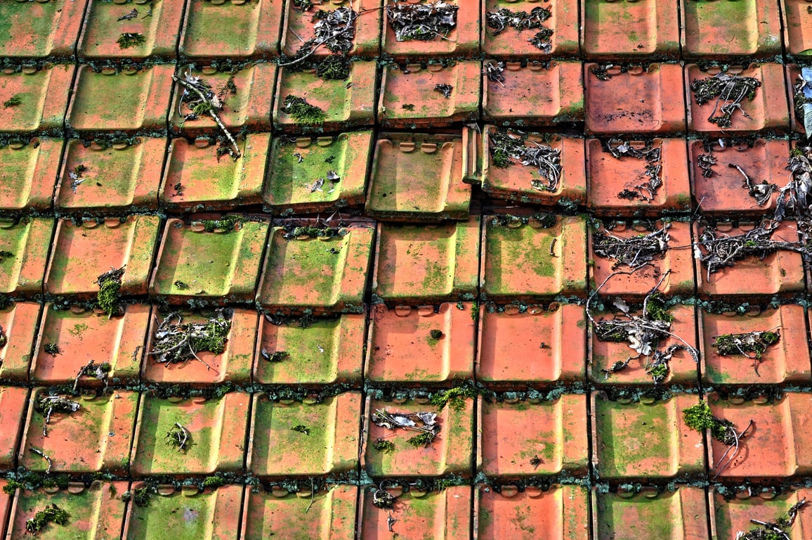 roof inspection