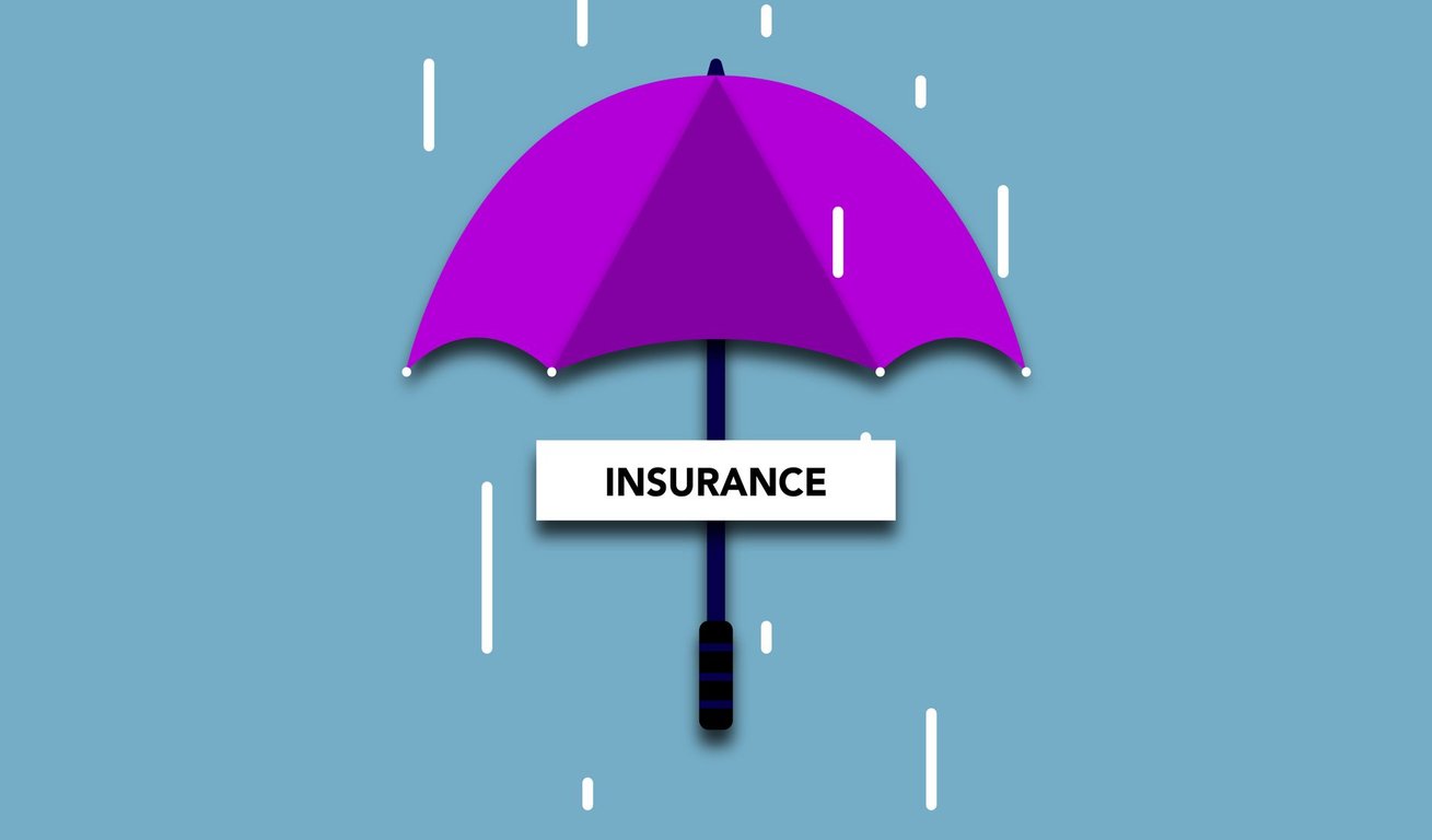 Animal Insurance: How to Compare Coverage, Costs, and Exclusions