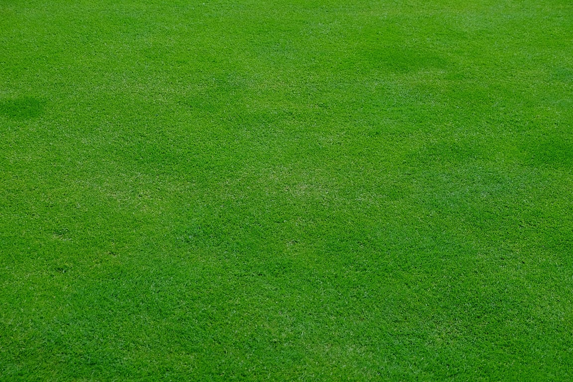 lawn mower cutting grass
