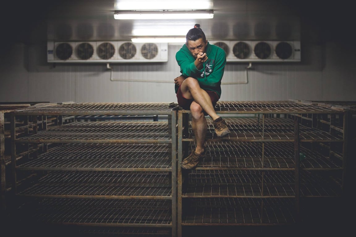 warehouse interior shelving
