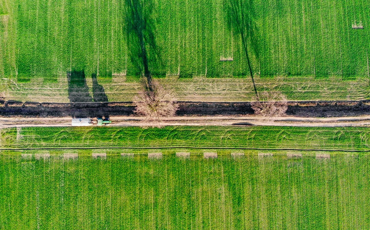 lawn fertilizer application