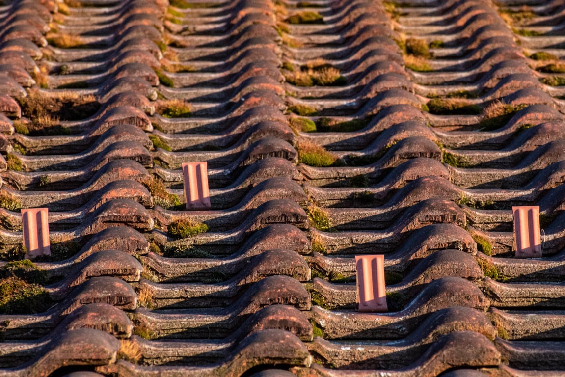 roofing contractor inspecting house roof