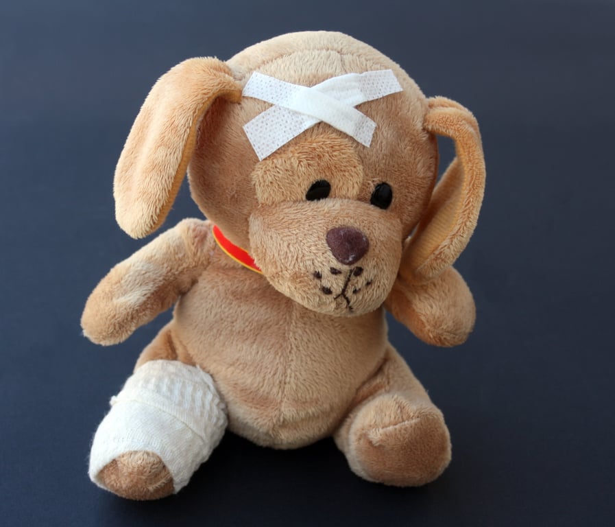 therapy dog hospital visit