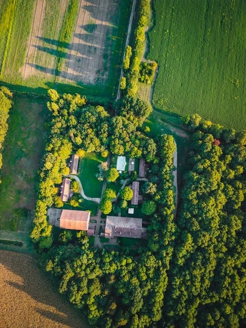 Image describing Top 5 Lenders for Real Estate Investors in 2025!