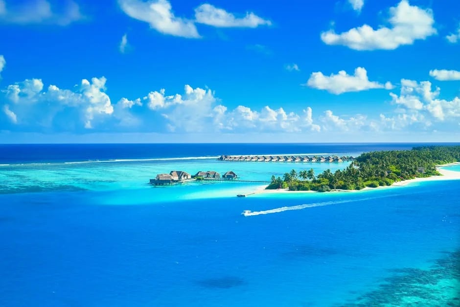 Image describing Top 10 Beach Villas You Must See in 2025!