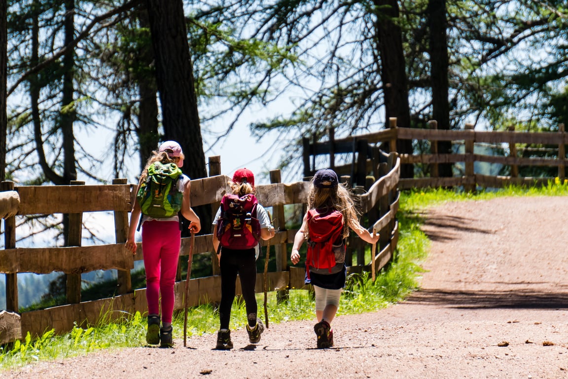 guided hiking group forest trail