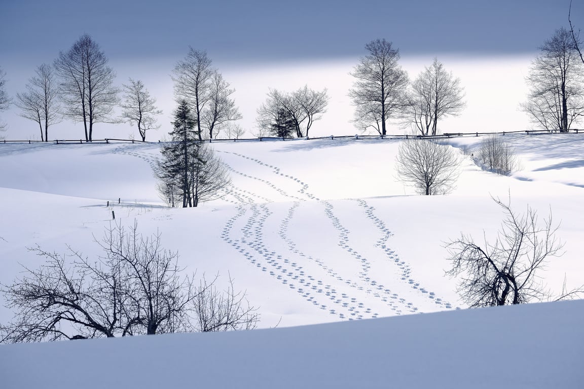 winter tires on snowy road