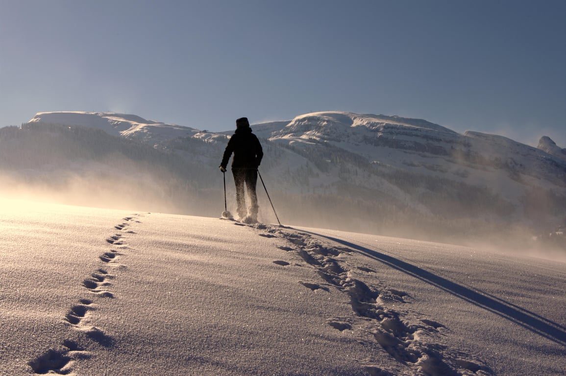 MSR snowshoes