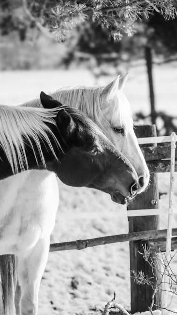 Image describing Top 10 Secrets of Encinitas Ranch Golf You Must Know!