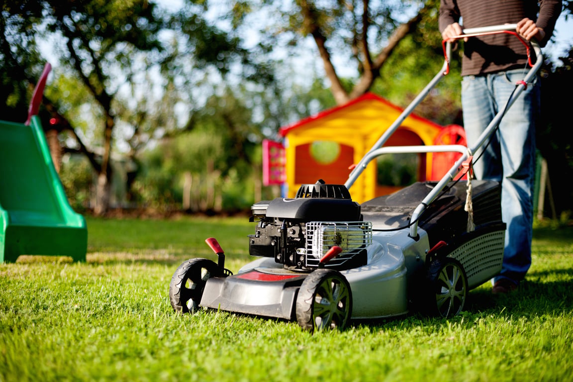 lawn mowing service