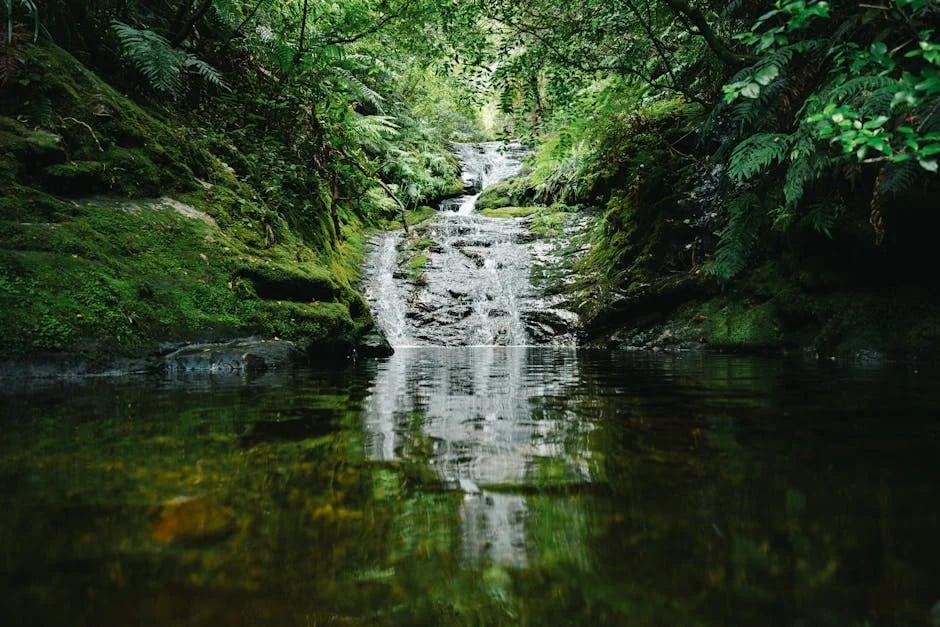 Image describing Top 5 Brokerages You Need to Know About in 2025!