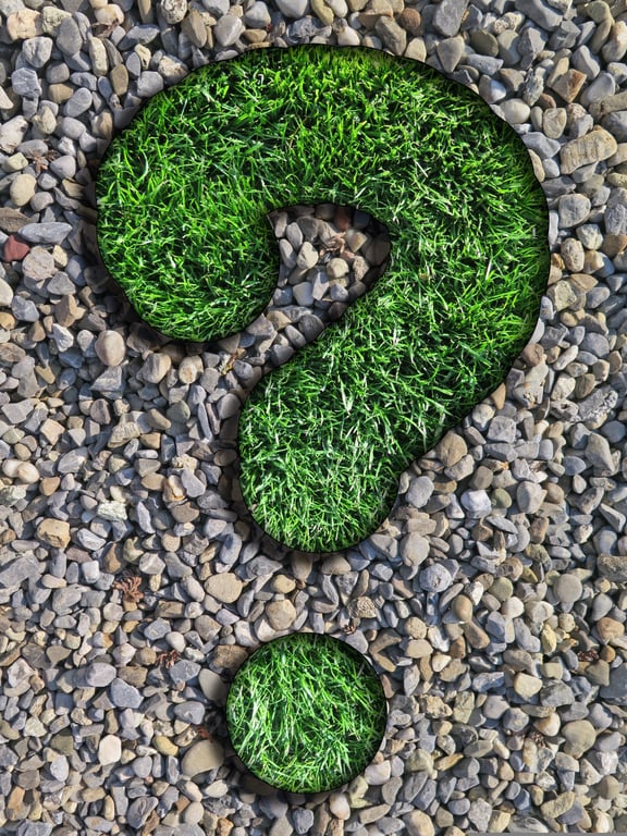 lawn weed removal