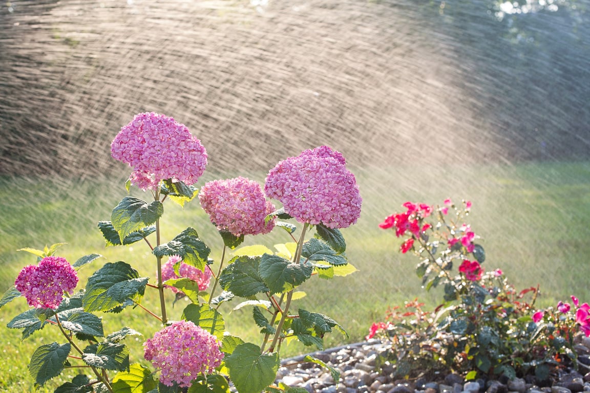 garden sprinkler system