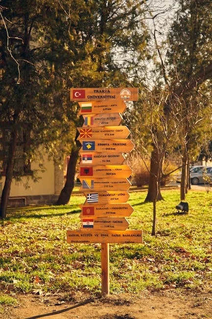 Image describing How to Get the Best UConn Study Abroad in 2026?