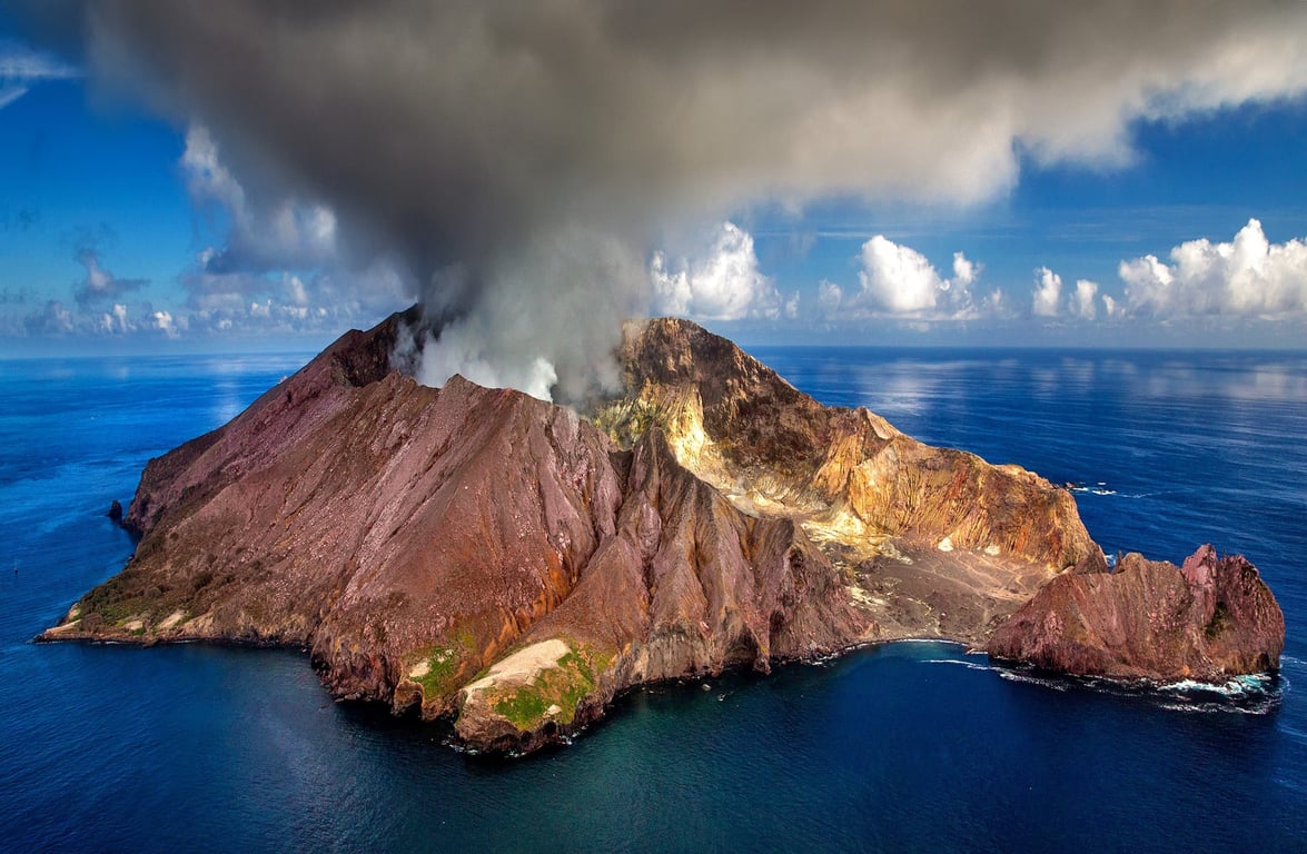 Bookings That Make New Zealand Travel Simpler