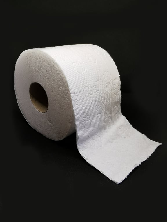 toilet installation