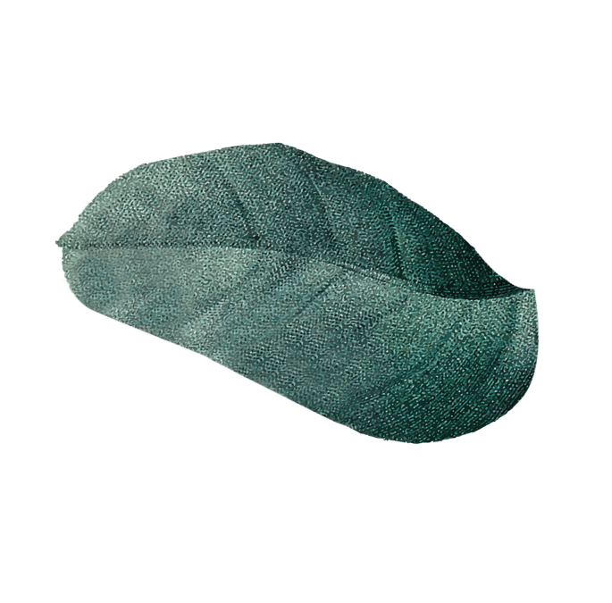 Serenia Baleria