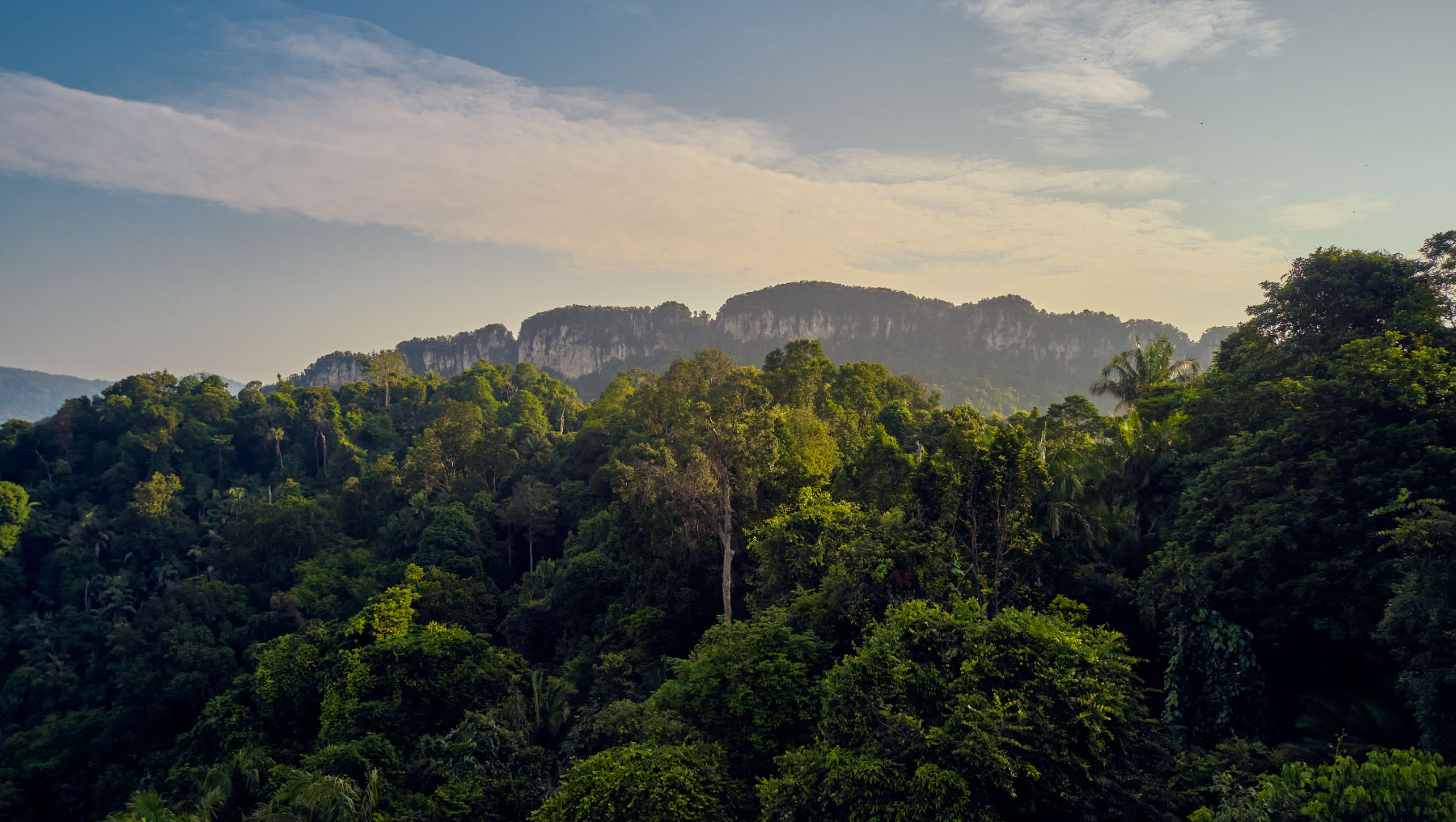 KL East