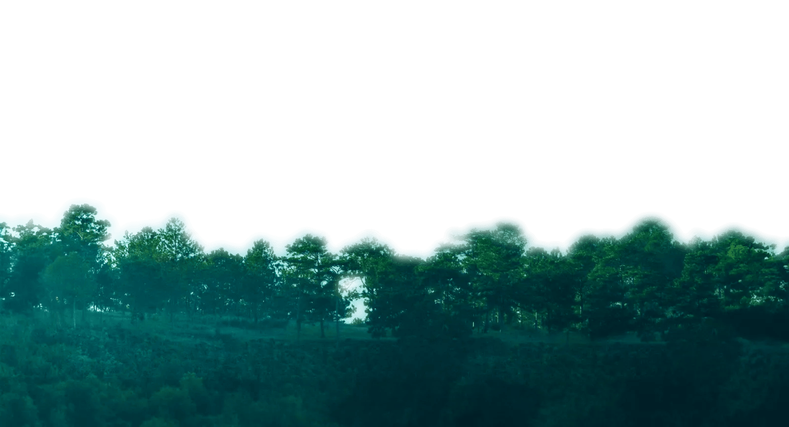 East 61 Banner Layer Desktop
