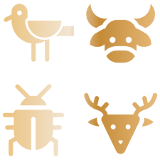 310 fauna species identified including 48 endangered, rare and threatened species
