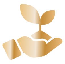 291 flora species planted including 63 endangered, rare and threatened species
