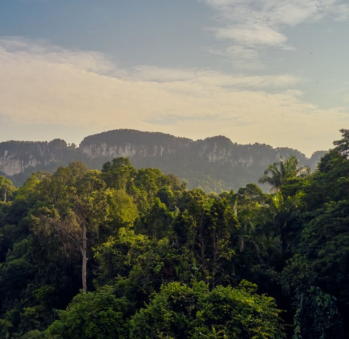 KL East
